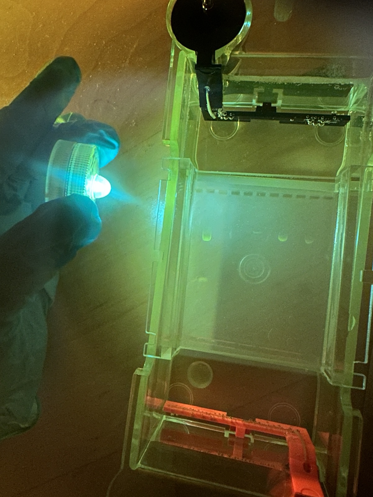 DNA purification setup